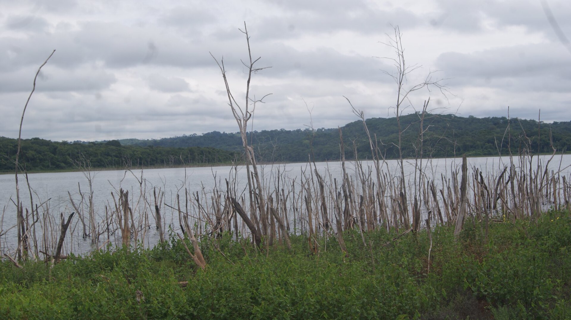 Imagem de referência de Área de Proteção Ambiental João Leite, descrito nos dados abertos como área de Proteção Ambiental João Leite de nível Estadual, localizado (a) em Anápolis (GO), Campo Limpo de Goiás (GO), Goianápolis (GO), Goiânia (GO), Nerópolis (GO), Ouro Verde de Goiás (GO), Terezópolis de Goiás (GO)