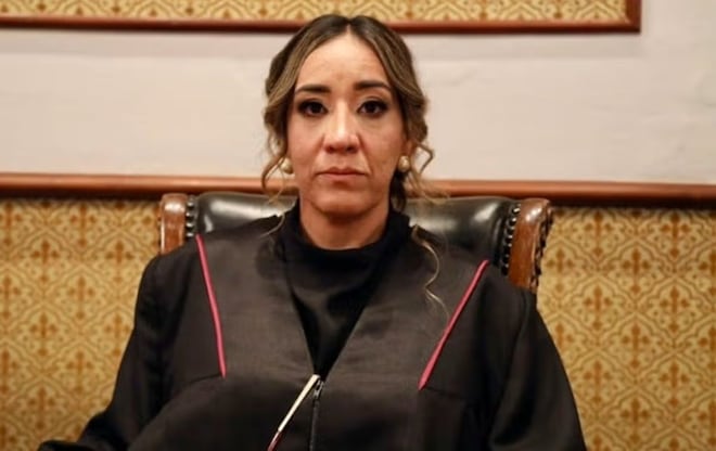 Juíza sacrifica a vida para salvar filho de 3 anos de ataque de enxame de abelhas gigantes