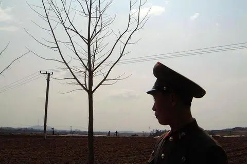 Contratador de TI norte-coreano encontra trabalho remoto na Nova Zelândia