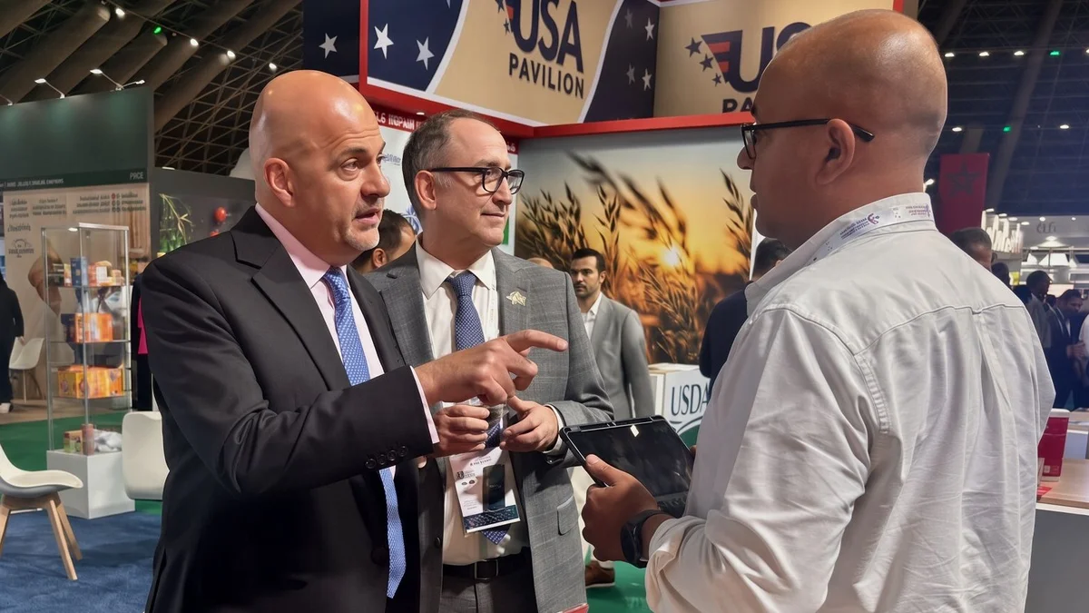 A França diz que o Reino 'pode contar' com Paris enquanto tropas são enviadas para proteger Yanbu