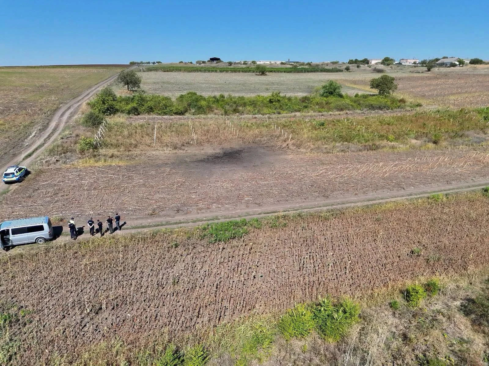 O Golfo deve ajudar a escrever as regras para a IA emocional