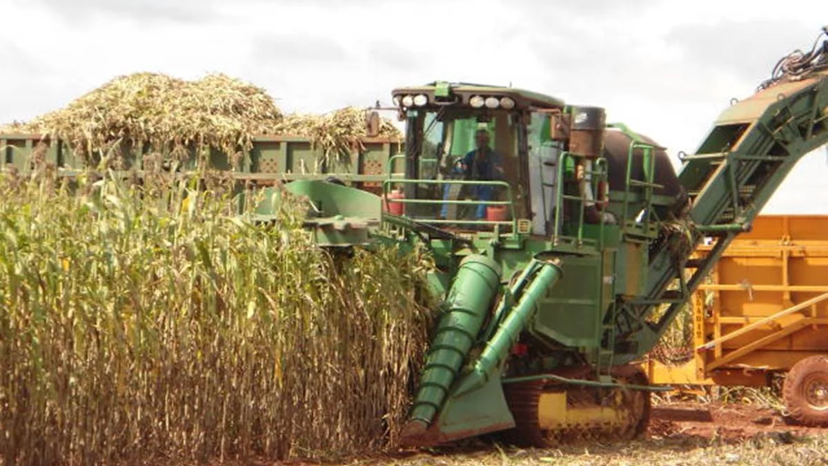 Marrocos fornecerá 3,8 milhões de toneladas de fertilizantes ao Brasil