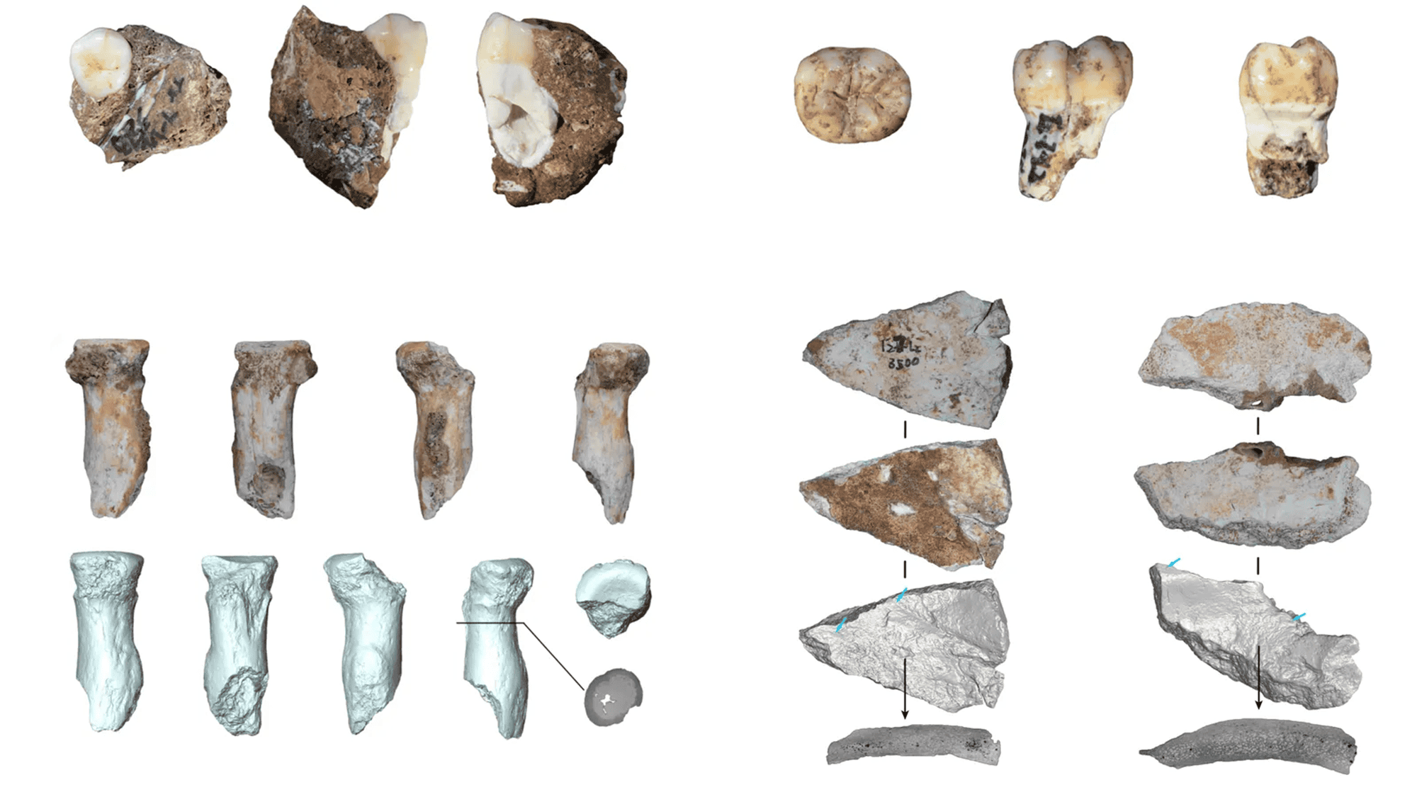 Osso encontrado em caverna na China pertence a misterioso grupo de hominídeos extinto