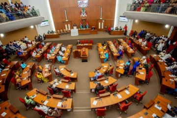 NA adopts Marrakesh Treaty to empower blind, print-disabled