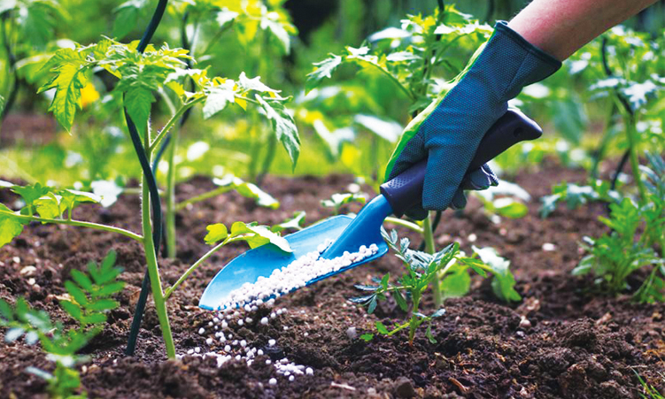 Agricultores de Omusati receberão centro de treinamento em campo