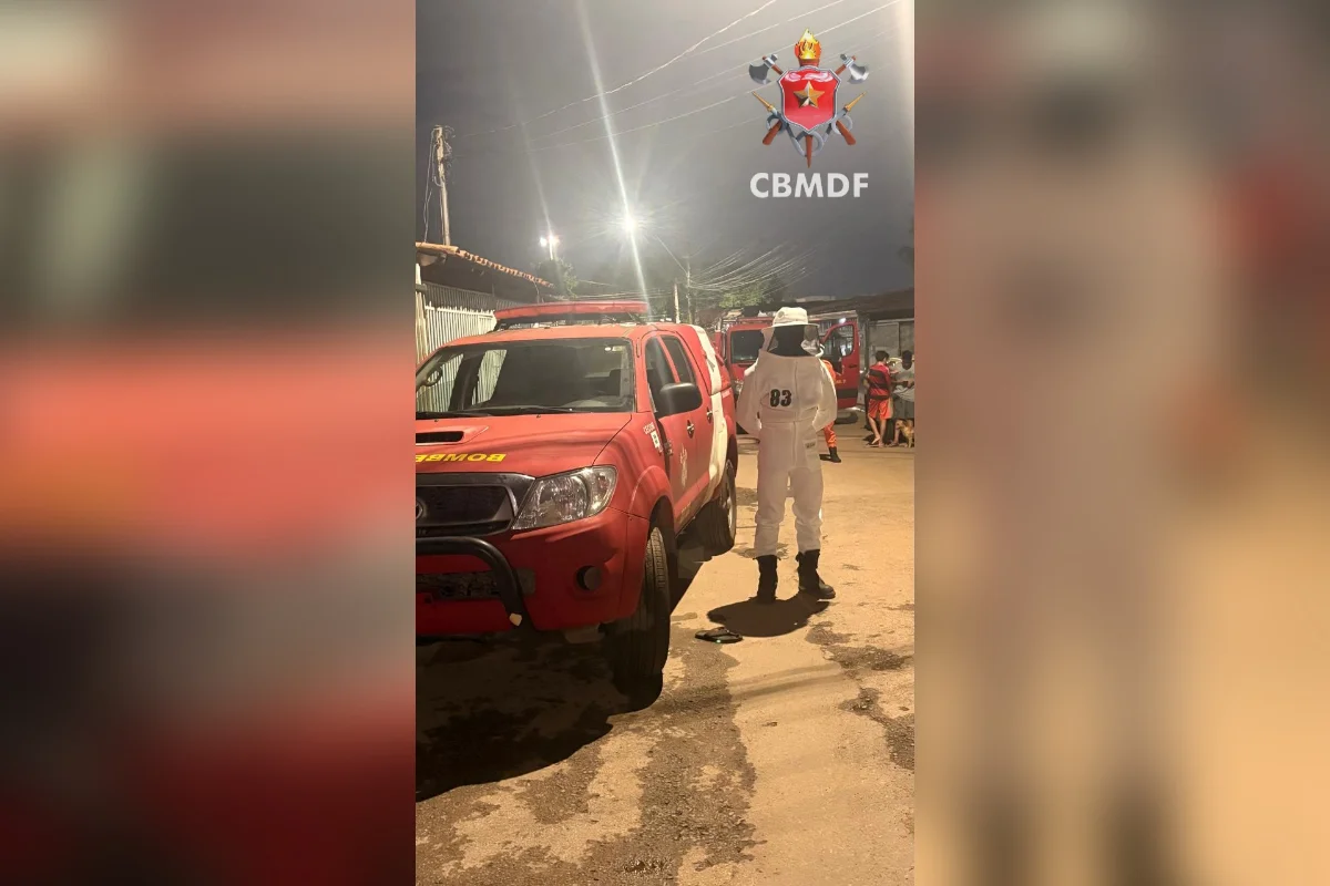 Bombeiros retiram enxame de abelhas em residência em Taguatinga (DF)
