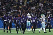 NFL no Rio de Janeiro recebeu torcedores de 67 países diferentes - imagem 4