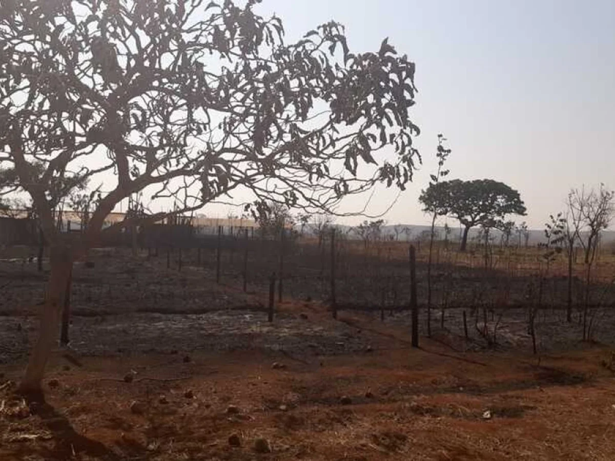 Entorno: Cidade Ocidental decreta situação de emergência devido à estiagem