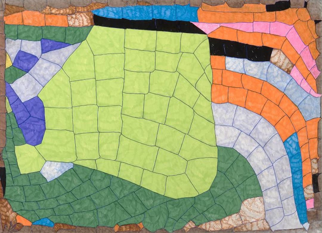 A artista neozelandesa Susan Te Kahurangi King, aclamada mundialmente, é desconhecida para muitos kiwis.