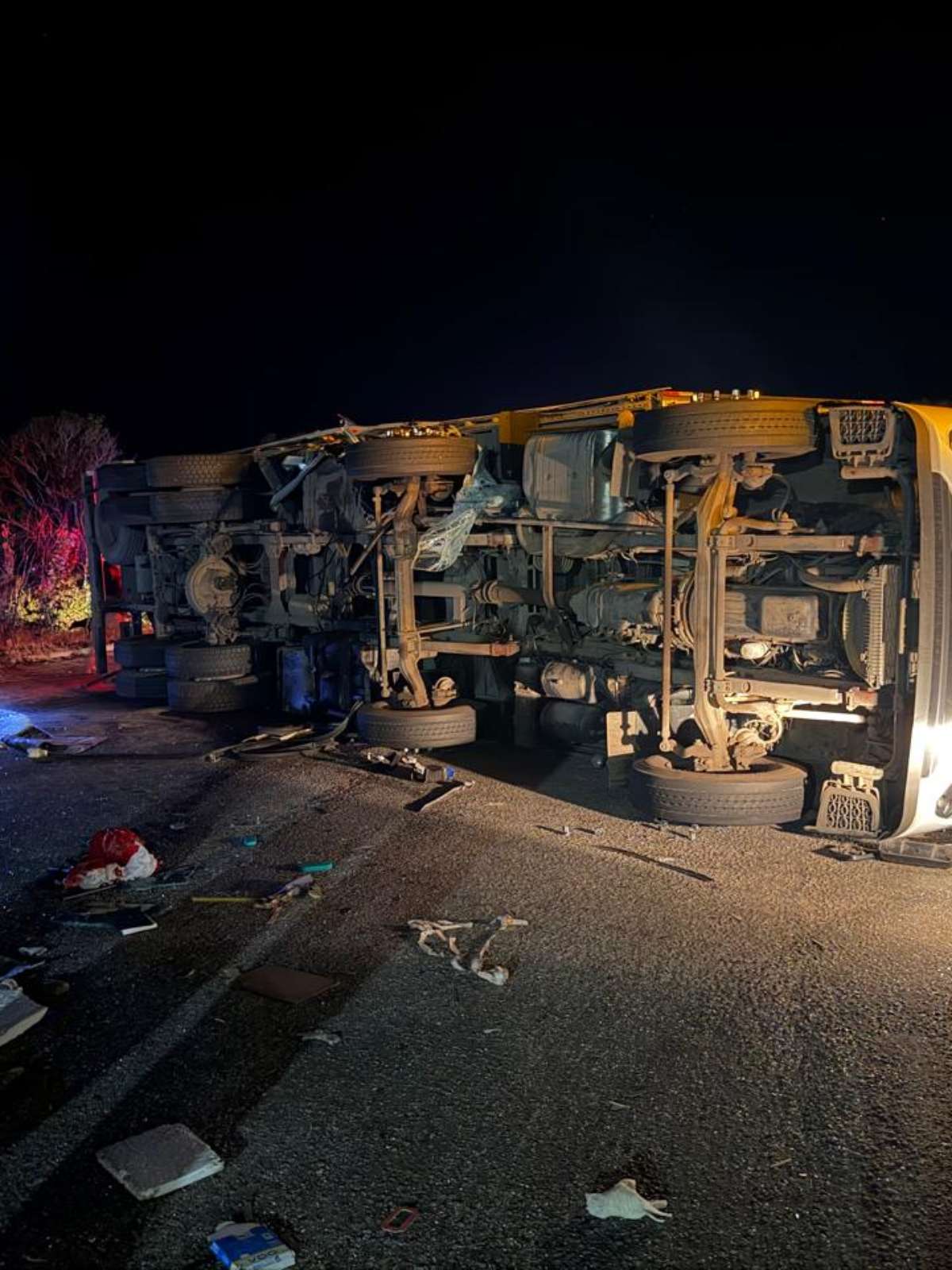 Seis pessoas morrem em colisão entre ônibus de turismo e carreta em MG