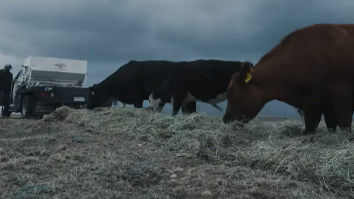 La eliminación de vegetación junto a los arroyos había perjudicado el equilibrio ecológico de la zona