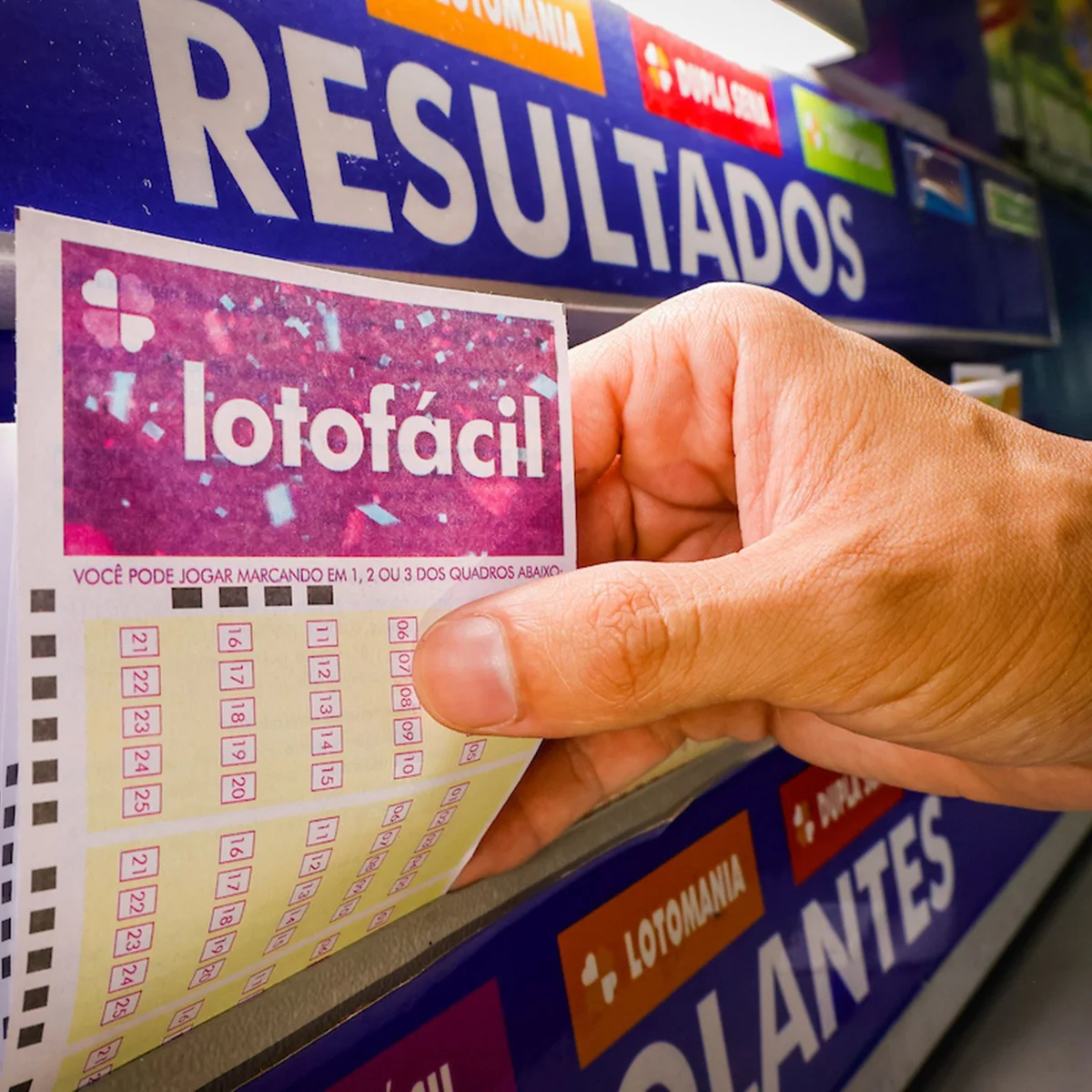 Lotofácil 3795: aposta do PR fatura prêmio de R$ 1,4 milhão. Veja resultado
