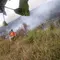 Kemendagri Dalami Celah Aturan Buka Lahan Dibakar