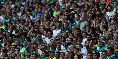 Foto: Cesar Greco/Palmeiras / Gávea News