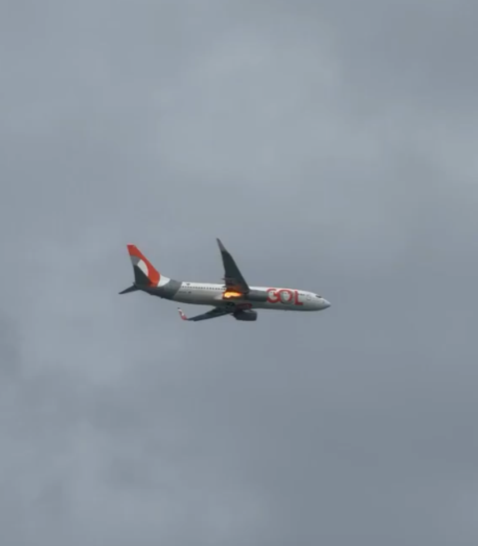 Avi&atilde;o da Gol colide com p&aacute;ssaro e tem que voltar ao Aeroporto Internacional de Recife (PE)
